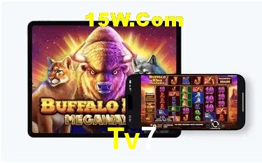 Game Providers Tv7